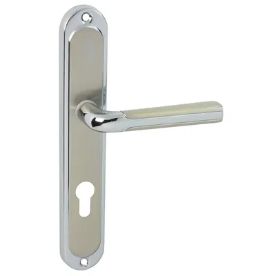 A product shot of a door handle set on a white background.