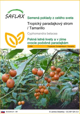 Obrázok produktu pre SAFLAX - Tropický paradajkový strom / Tamarillo - Cyphomandra betacea - 50 Semená
