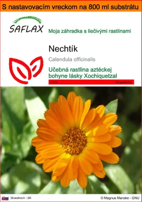 Obrázok produktu pre SAFLAX Garden in the bag - nechtík - Calendula officinalis - 50 Semená - S pestovateľským substrátom v praktickom samostaviteľnom vrecku