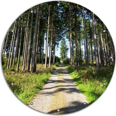 Produktbild von Wallario rundes Outdoor-Poster für Garten oder Balkon, Motiv Stiller Waldweg, 90 cm Durchmesser