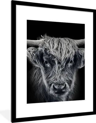 Produktbild von MuchoWow® Gerahmtes Poster Schottischer Highlander - Schwarz - Kuh - Tiere 60x80 cm - Poster mit Schwarzem Bilderrahmen Wandposter Rahmen Foto Bilder - Wohnzimmer - Dekorationen - Prämie