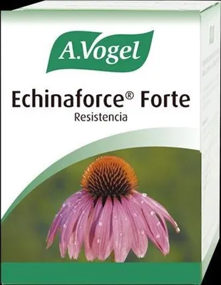 Obrázek produktu pro 30 Exemplare in Binforce Echinforce Fort