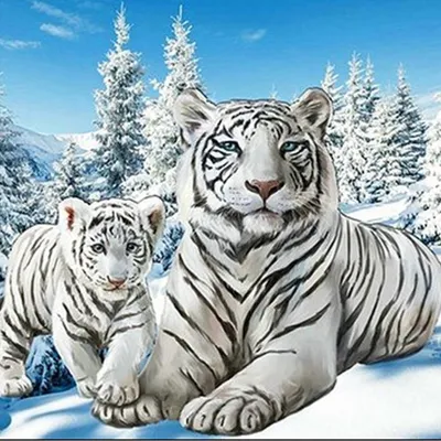 Produktbild von Malen nach Zahlen 5d Diamond Painting Weißer Tiger Malen nach Zahlen 15x20cm