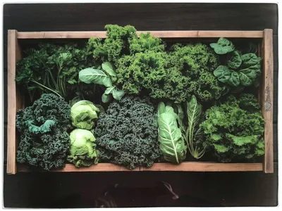 Productafbeelding van Glazen bord, 40x30 cm, voor groenten