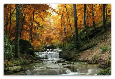 Produktbild von Wallario Frühstücksbrettchen aus Glas 20 x 30 cm mit rutschfesten Füßen, Motiv Kleiner Bach über Steine im Herbstwald