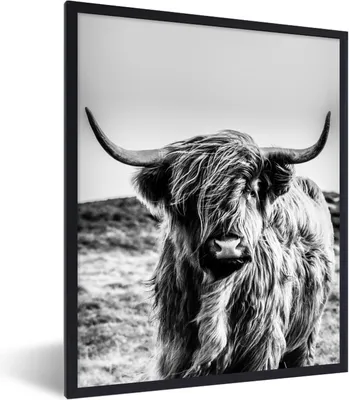 Produktbild von MuchoWow® Gerahmtes Poster Kuh - Schottischer Hochländer - Schwarz - Weiß - Tier - Natur - Wildtiere 60x80 cm - Poster mit Schwarzem Bilderrahmen Wandposter Rahmen Foto Bilder - Premium - Wanddeko Wohnzimmer