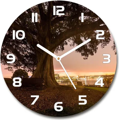 Produktbild von Wanduhr aus Glas 30fi Glasbild Glasuhr Gehärtetes Glas - weisse-zeiger - Old tree