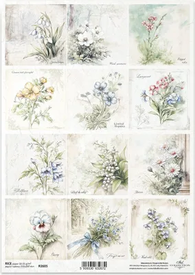 Produktbild von ITD Reispapier Decoupage Bastelpapier Serviettentechnik-R2605 Blumen, Schneeglöckchen, Glockenblume, Maiglöckchen, Gänseblümchen, Stiefmütterchen, Vergissmeinnicht, Veilchen