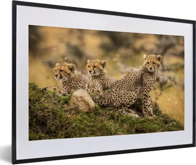 Produktbild von MuchoWow® MuchoWow® Gerahmtes Poster Leopard - Wald - Tier 60x40 cm - Poster mit zchwarzem Bilderrahmen - Schlafzimmer - Plakat in Rahmen - Drucken