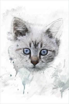 Produktbild von Wallario Poster - Katze in Wasserfarben gemalt, Kunstdruck Größe: 61 x 91,50 cm