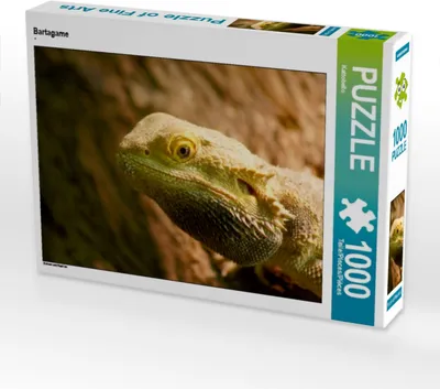 Produktbild von Calvendo Bartagame 1000 Teile Puzzle quer 640x480mm, CALVENDO; 7313822
