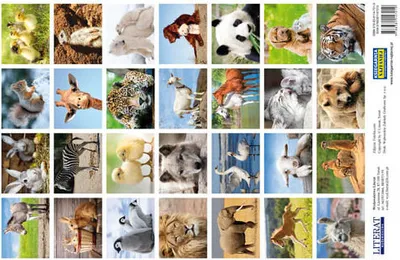 Immagine prodotto di Adesivi Animali