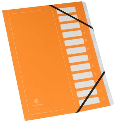Zdjęcie produktu dla extendos 122.12 EL05 extendos Ordnungsmappe "Flashy" Serie 122, 12 Fächer, grün