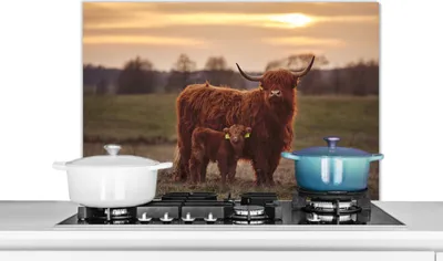 Obrázek produktu pro KitchenYeah® Splashback kitchen - Kuchyňský splashback - Ochrana stěny sporáku a dřezu - Skotský náhorní skot - Zvířata - Krajina - Západ slunce - Kráva 90x60 - Hliníkový dibond (alternativa ke splashbacku)