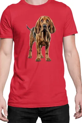 Immagine prodotto di Maglietta da uomo Dogs Breeds Bloodhound Dog Breed 005, Man L , Rouge