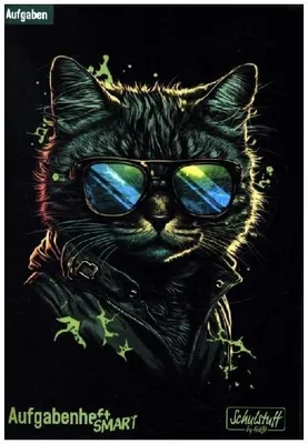 Produktbild von Schulstuff Aufgabenheft A5 [Cool Cat]