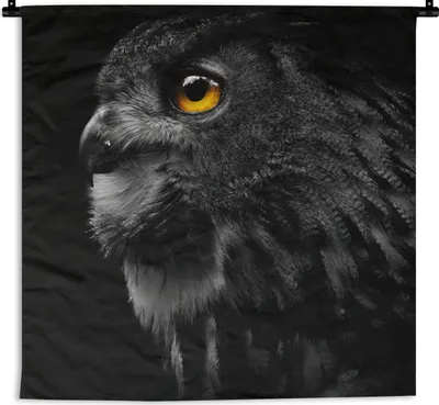 Produktbild von MuchoWow® Wandteppich Wandbehang Eule - Vogel - Schwarz - Porträt 90x90 cm Tapisserie Dekoration Wandtuch - Wandaufhänger