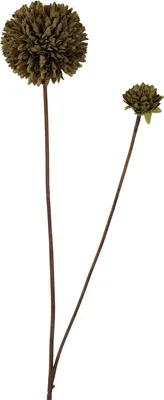 Produktbild von Künstliche Blume Pompon 66cm dunkelgrün
