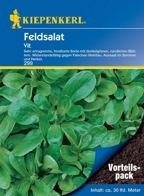 Produktbild von [STREICHUNG 2024] Feldsalat Vit (20 g) | Feldsalatsamen von Kiepenkerl