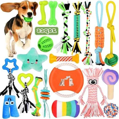 Produktbild von Hundefrühjahrsset - 20 Stück für kleine und mittelgroße Hunde