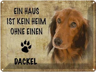 Produktbild von vianmo Blechschild 30x40 cm Dackel Hund ohne kein Heim