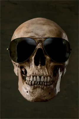 Produktbild von Wallario Poster - Totenschädel mit cooler Sonnenbrille, Kunstdruck Größe: 61 x 91,50 cm