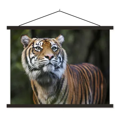 Produktbild von MuchoWow® Textilposter Tiger - Dschungel - Mantel 120x90 cm mit schwarzem Rahmen - Aufhänger für Poster