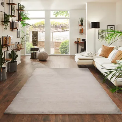 A living room with a sofa, rug, and decorative items.
