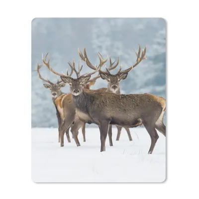 Produktbild von MuchoWow® Mauspad Mousepad Hirsche - Tiere - Schnee - Winter - Landschaft - Natur 30x40 cm - Mousepads - Maus Mat - Pad - Mausunterlage - Mausmatten