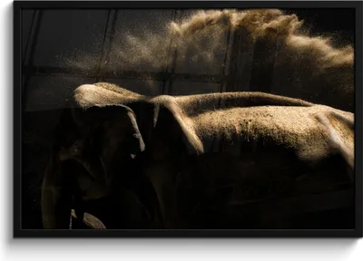 Produktbild von MuchoWow® MuchoWow® Gerahmtes Poster Elefant - Schlamm - Tiere - Schwarz 90x60 cm - Poster mit zchwarzem Bilderrahmen - Fotorahmen - Foto-Plakat