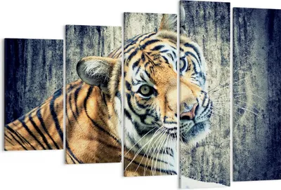 Produktbild von Bild auf Leinwand - Leinwandbild - Indien stein tiger wild - 150x100cm - Wand Bild - Wanddeko - Leinwanddruck - Bilder - Kunstdruck - Wanddekoration - Leinwand bilder - Wandkunst - EG150x100-2464