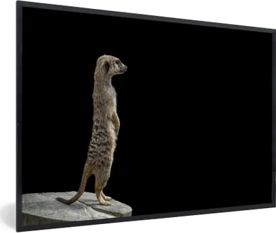 Produktbild von MuchoWow® Gerahmtes Poster Erdmännchen - Wilde Tiere - Schwarz 90x60 cm - Poster mit Schwarzem Bilderrahmen Wandposter Rahmen Foto Bilder - Fotorahmen - Foto-Plakat
