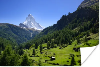 Produktbild von MuchoWow® Poster Schweizer Alpen im Matterhorn mit grünen Bäumen 180x120 cm - Fotoplakat