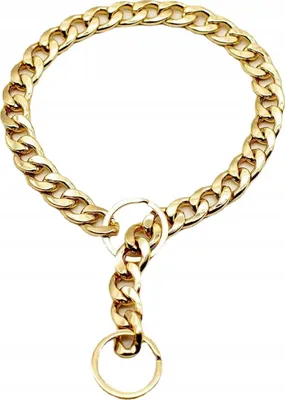 Image de Collier pour chien, en métal plaqué or, taille XL
