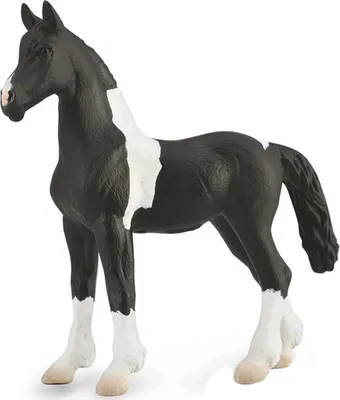 Obrázek produktu pro COLLECTA Barock Pinto Foal