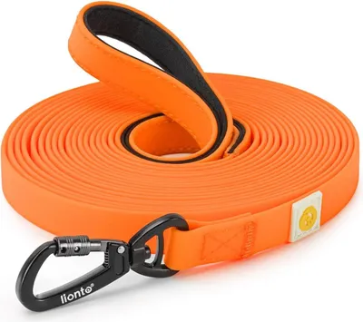 Produktbild von Wasserbeständige Hundenleine mit 360° Sicherheitskarabiner, 10 m, robustes Nylon, ideal für Hundetraining