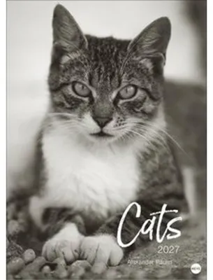 Produktbild von Heye Wandkalender Cats Edition 2027, Schwarz-weiß Fotokunst, 68 x 49 cm