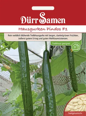 Produktbild von Dürr-Samen - Hausgurken Pindos F1 - Saatgut - 4125