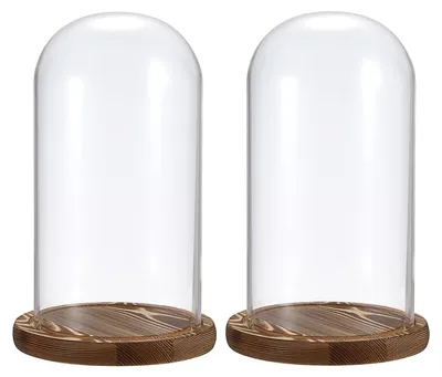 Immagine prodotto di Solidchoice - Cupola in vetro decorativa con base in legno