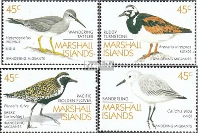 Produktbild von Briefmarken Marshall-Inseln 1989 Mi 222-225 (kompl.Ausg.) postfrisch Zugvögel