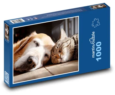 Obrázek produktu pro martinpuzzle - Puzzle 1000 - Spící kočka a pes