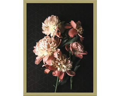 Produktbild von Gerahmtes Bild Beautiful Roses II 33x43 cm