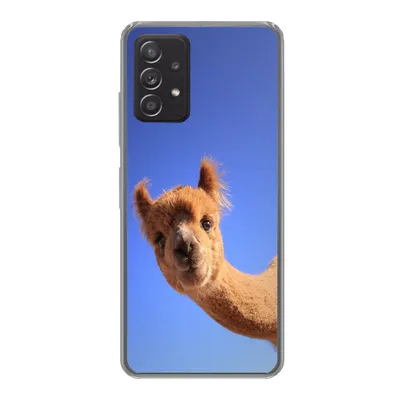 Produktbild von MuchoWow® Handyhülle Schutzhülle Hülle für Samsung Galaxy A33 5G Alpaka - Braun - Blau Silikon Softcase Handy Hülle - Kartenhalter