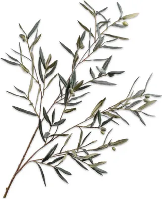 Produktbild von Silk-ka Kunstblume Olivenzweig Grün-Grau 123 cm