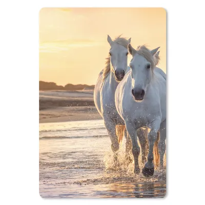 Produktbild von MuchoWow® Mauspad Mousepad Pferde - Wasser - Strand - Tiere 18x27 cm - Mousepads - Maus Mat - Pad - Mausunterlage