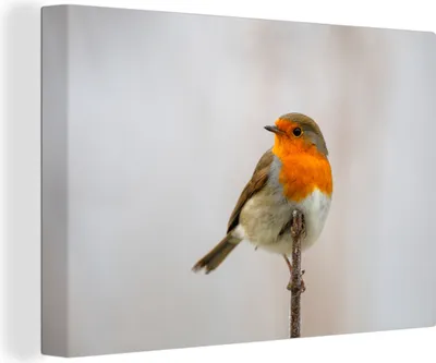Produktbild von OneMillionCanvasses® - Leinwandbilder - 140x90 cm, Rotkehlchen - Zweige - Tiere, Wandbilder Kunstdruck Wanddekoration