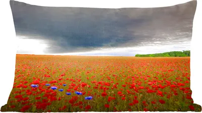 Produktbild von MuchoWow® Zierkissen Sofakissen Wohnzimmer Dekokissen 50x30 cm Blumen - Rot - Grau - Wohnzimmerdekoration - Polster mit Photo