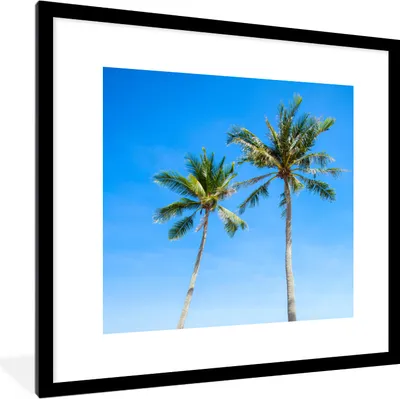 Produktbild von MuchoWow® Gerahmtes Poster Palme - Sommer - Tropisch 40x40 cm - Poster mit Schwarzem Bilderrahmen Wandposter Rahmen Foto Bilder - Poster - Plakat im Rahmen