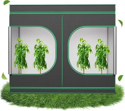 Produktbild von Grow Zelt Grow Tent Growschrank Zuchtzelt Gewächshaus, 240x120x200cm | Box Garten Anzucht Gemüse Kräuter Grow Schrank, Indoor Anbauzelt, Growroom für Blumen klein Tomaten Hydro Green
