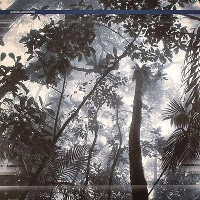 Immagine prodotto di Futuro Tropico